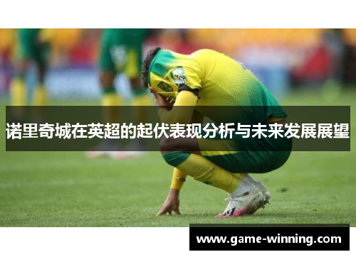诺里奇城在英超的起伏表现分析与未来发展展望