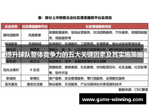 提升球队整体竞争力的五大关键因素及其实施策略