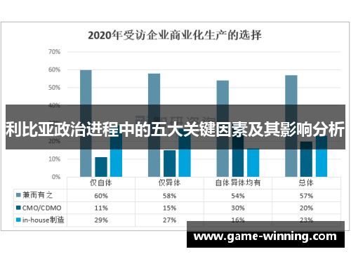 利比亚政治进程中的五大关键因素及其影响分析